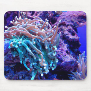 Coral reef sea anenome blue pink purple ocean mouse pad