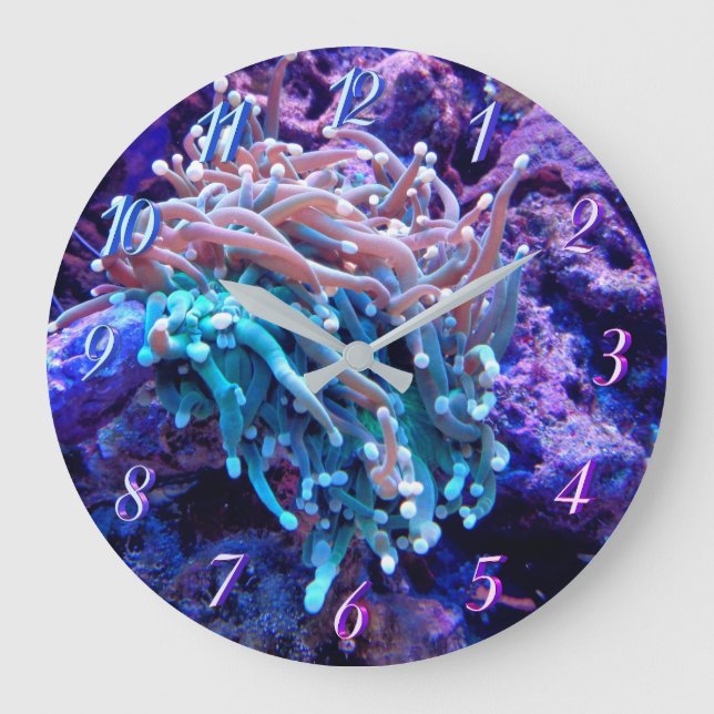 Coral reef sea anenome clock (Front)