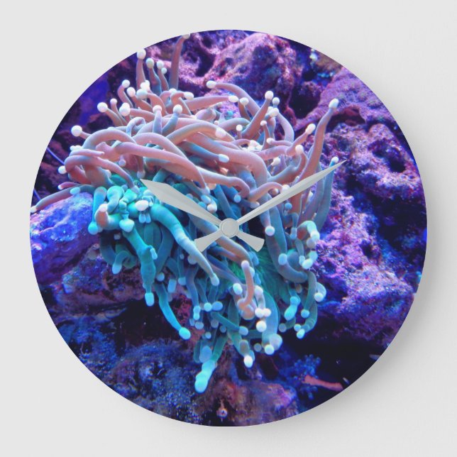 Coral reef sea anenome clock (Front)
