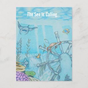 Coral reef shipwreck postcard