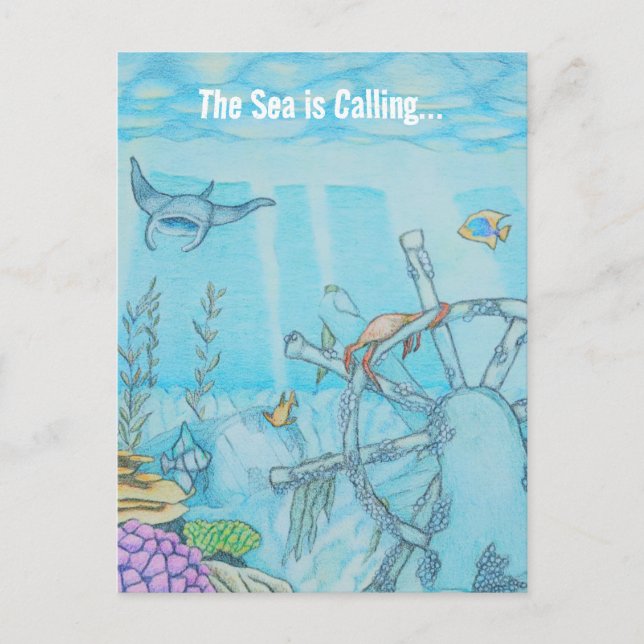 Coral reef shipwreck postcard (Front)