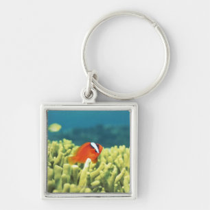 Coral reef teeming with tropical fish key ring
