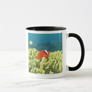 Coral reef teeming with tropical fish mug