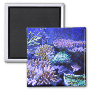 Coral reef tropical Caribbean blue green purple Magnet