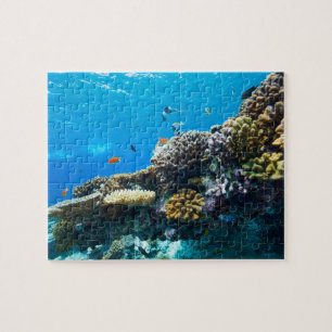 Coral reef underwater jigsaw puzzle