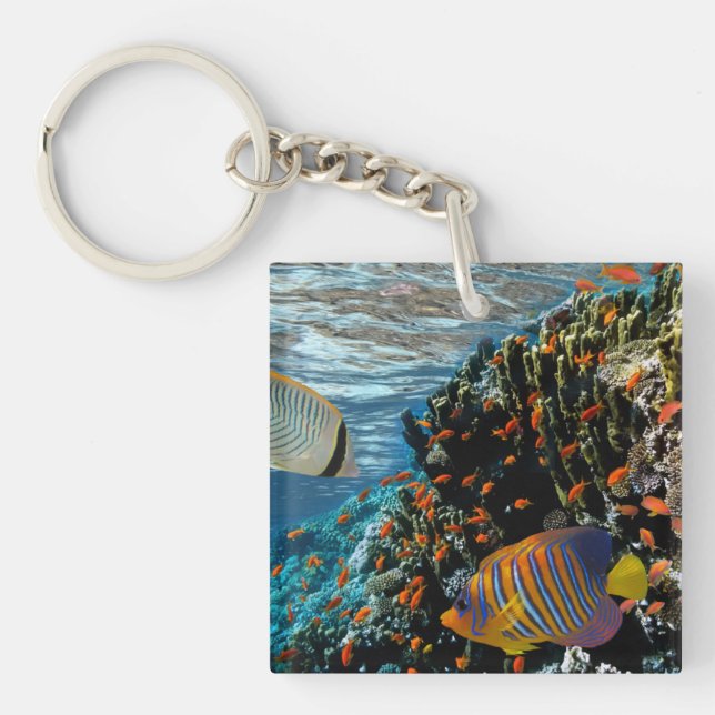 Coral Reef with Fire Coral and Exotic Fishes       Key Ring (Front)
