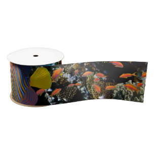Coral Reef with Fire Coral and Exotic Fishes      Satin Ribbon