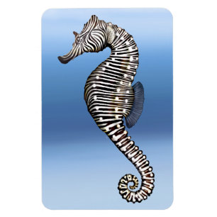 Coral Reef Zebra Sea Horse Premium Flexi Magnet