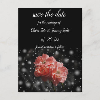 Coral Rose and Black Postcard
