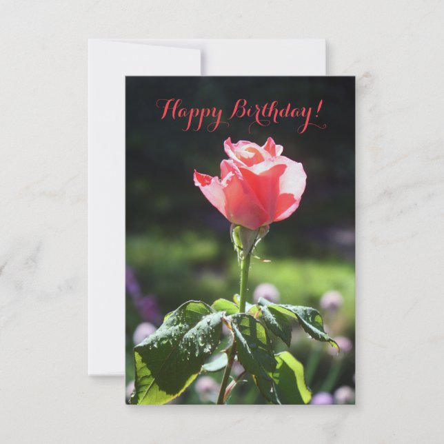Coral Rose, Happy Birthday!, You Customise Card (Front)