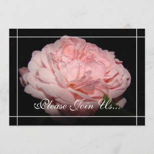 Coral Rose II Wedding Vow renewal  invitations