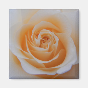 Coral Rose Magnet