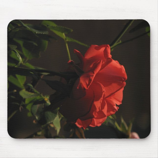 Coral Rose Mousepad (Front)