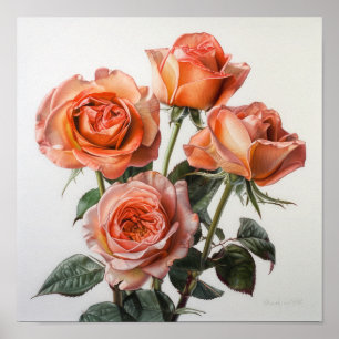 Coral Roses Flower Art Print Poster