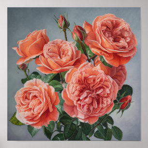 Coral Roses Flower Art Print Poster