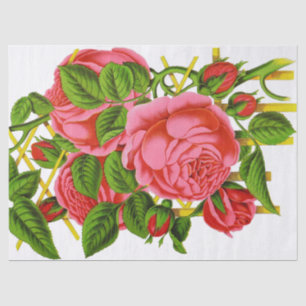 Coral Roses Vintage Print Tissue Tissue Paper