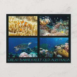 Coral Sea Postcard