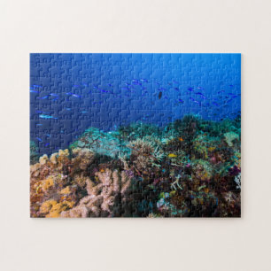 Coral Sea - Tropical Fish and Reef - Jigsaw Puzzle