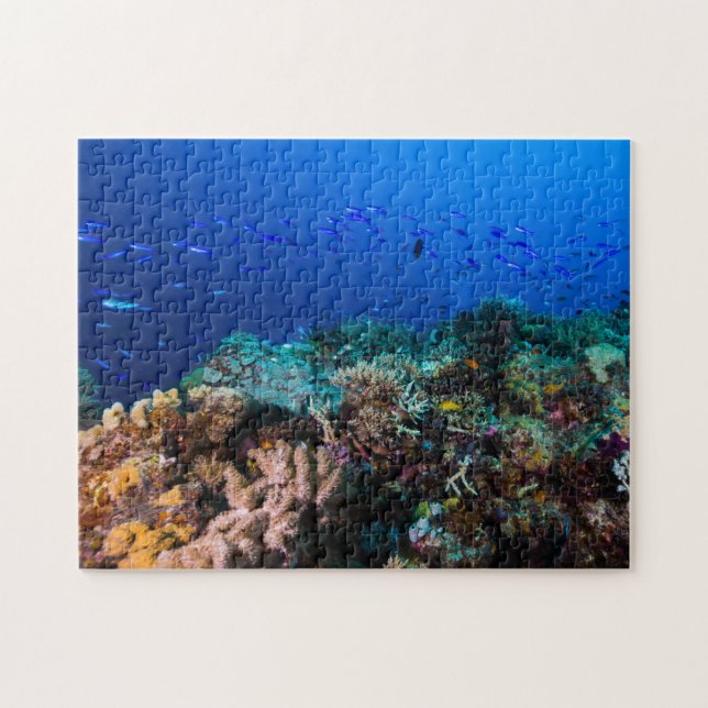 Coral Sea - Tropical Fish and Reef - Jigsaw Puzzle (Horizontal)