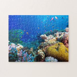 Coral Sea - Tropical Fish & Reef - Puzzle