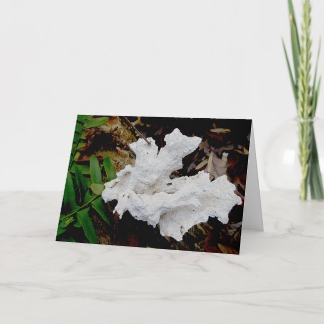 Coral Shelf Fungus Note Card (Front)