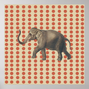 Coral Spice Moods Dots with Elephant Poster