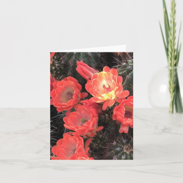Coral Sunset Cactus Blossoms Note Card (Front)
