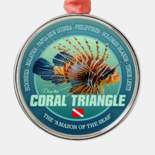 Coral Triangle (c) Metal Ornament