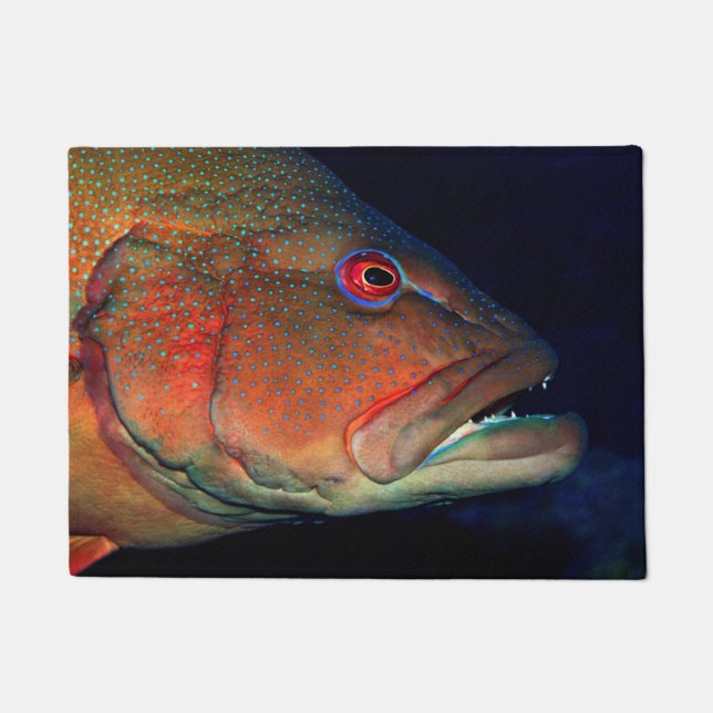 Coral Trout Fish Photo Custom Doormats (Front)