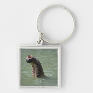Corbett National Park, Uttaranchal, India Key Ring