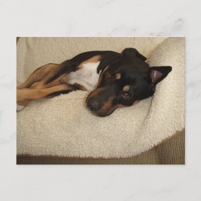 Corby Postcard (Front)