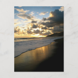 Corcovado National Park Beach Postcard