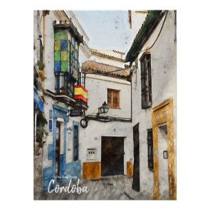 Cordoba Street -Spain  Poster