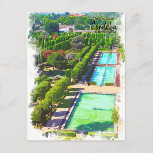 Cordoba Trees -Spain Postcard
