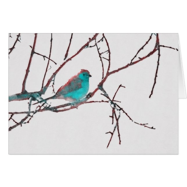 Cordon Bleu Waxbill (Front Horizontal)