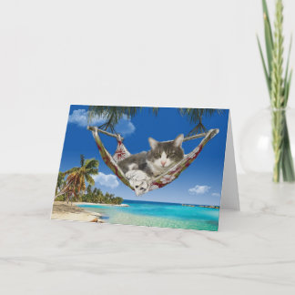 Corduroy in the Caribbean, cat in hammock card