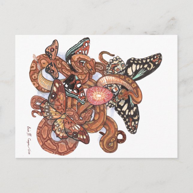 Core of Beginings Mystical Butterfly Snakes Art Postcard (Front)