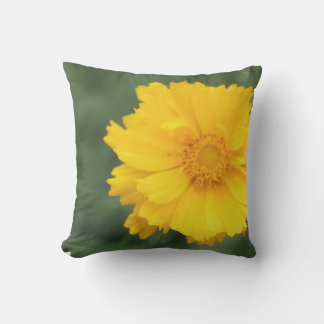 Coreopsis outdoor throw pillow (Front)