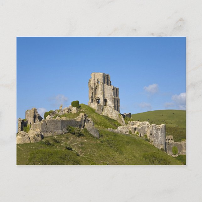 Corfe Castle, Corfe, Dorset, England Postcard (Front)