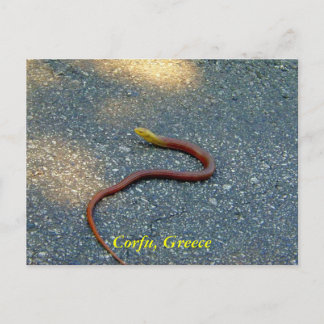 Corfu, Greece Postcard