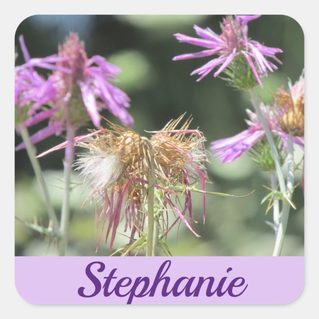 Corfu Lilac Wildflowers Square Sticker (Front)