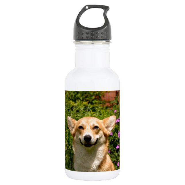 CORGi 532 Ml Water Bottle (Front)