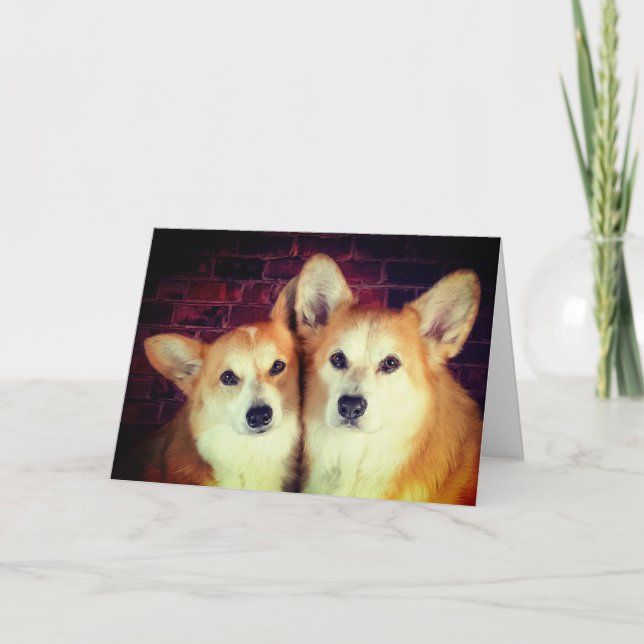 Corgi Anniversary Card (Front)