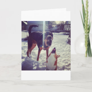 Corgi Best Friend Birthday Card