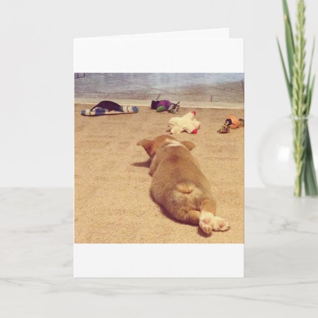 Corgi Birthday card (Front)