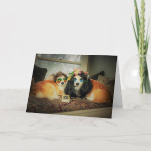 Corgi blank card