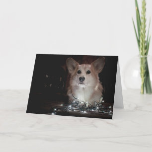 Corgi Christmas card