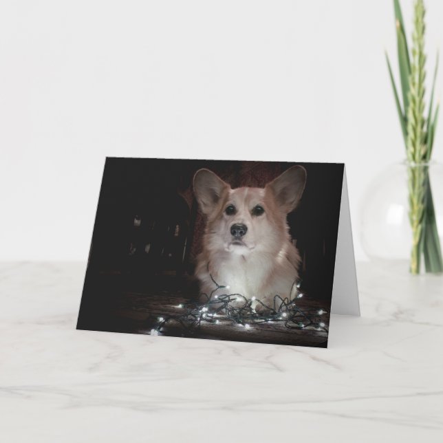Corgi Christmas card (Front)