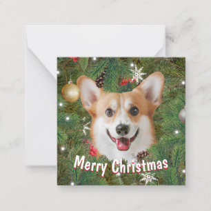 Corgi Christmas Card