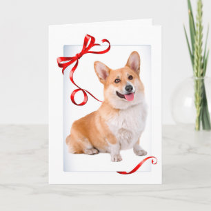 Corgi Christmas Card